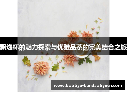 飘逸杯的魅力探索与优雅品茶的完美结合之旅