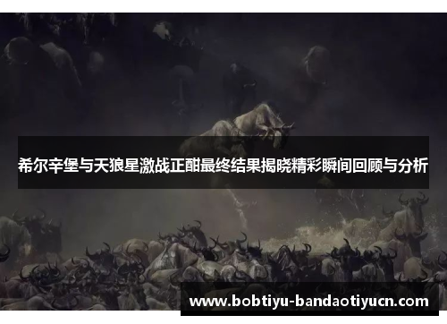 希尔辛堡与天狼星激战正酣最终结果揭晓精彩瞬间回顾与分析